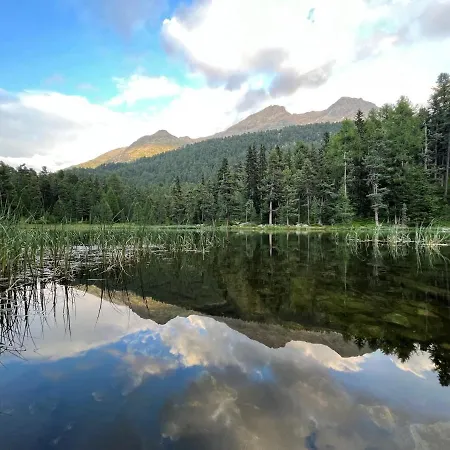 Chesa Munteratsch 3 1 2-zimmerwohnung 508 Typ H Silvaplana