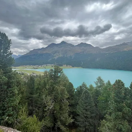 Appartement Chesa Munteratsch 3 1 2-zimmerwohnung 508 Typ H Silvaplana