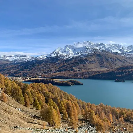 Appartement Chesa Munteratsch 3 1 2-zimmerwohnung 508 Typ H *