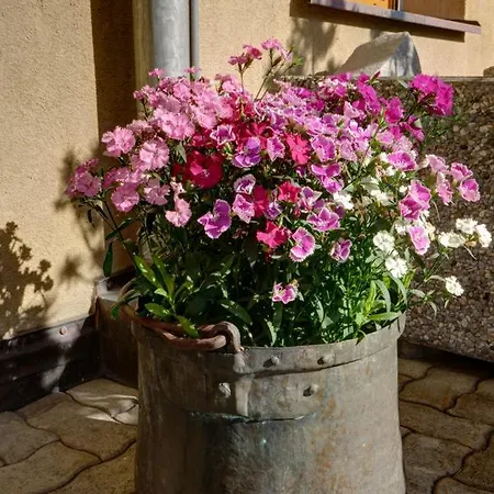 Chesa Munteratsch 3 1 2-zimmerwohnung 508 Typ H Silvaplana