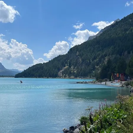 Chesa Munteratsch 3 1 2-zimmerwohnung 508 Typ H Silvaplana