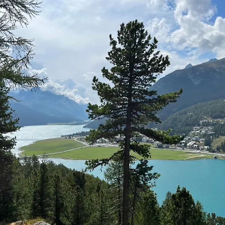 Chesa Munteratsch 3 1 2-zimmerwohnung 508 Typ H * Silvaplana