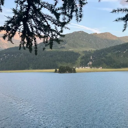 Chesa Munteratsch 3 1 2-zimmerwohnung 508 Typ H Appartement Silvaplana