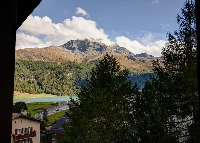 Chesa Munteratsch 3 1 2-zimmerwohnung 508 Typ H Silvaplana