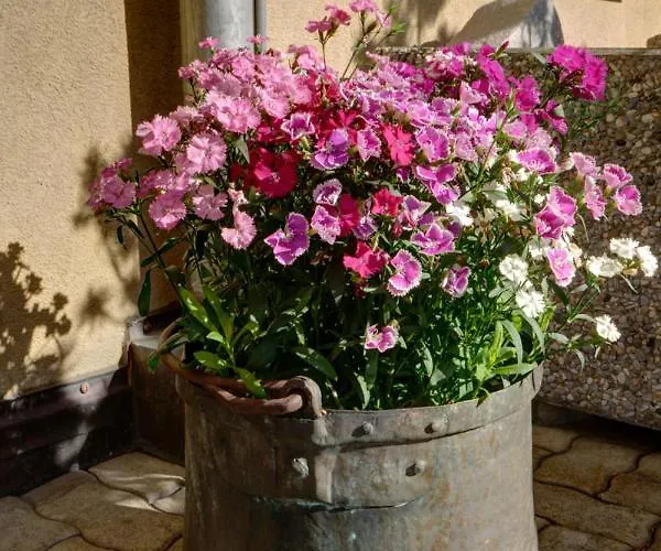 Chesa Munteratsch 3 1 2-zimmerwohnung 508 Typ H Silvaplana