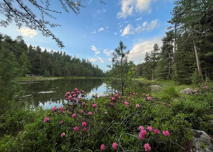 Chesa Munteratsch 3 1 2-zimmerwohnung 508 Typ H * Silvaplana