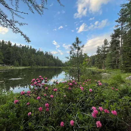 Chesa Munteratsch 3 1 2-zimmerwohnung 508 Typ H * سيلفابلانا