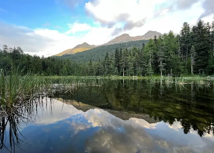 Chesa Munteratsch 3 1 2-zimmerwohnung 508 Typ H Silvaplana