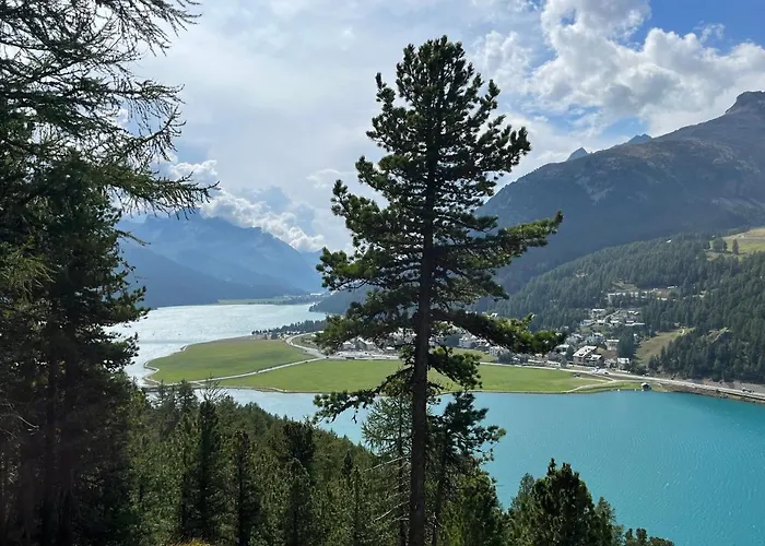 Chesa Munteratsch 3 1 2-zimmerwohnung 508 Typ H * Silvaplana